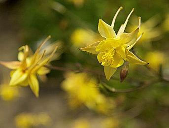 避免未成年人网络成瘾 希腊政府发布“儿童钱包”应用